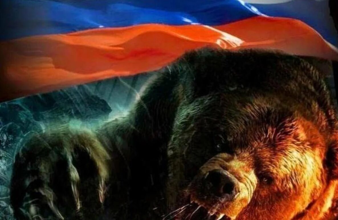 Медведь гризли злой. Медведь в ярости. Медведь кесагаке фильм. Медведь рычит. Злой медведь.