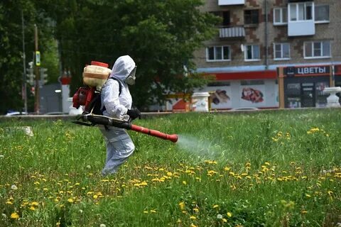 Акарицидная обработка