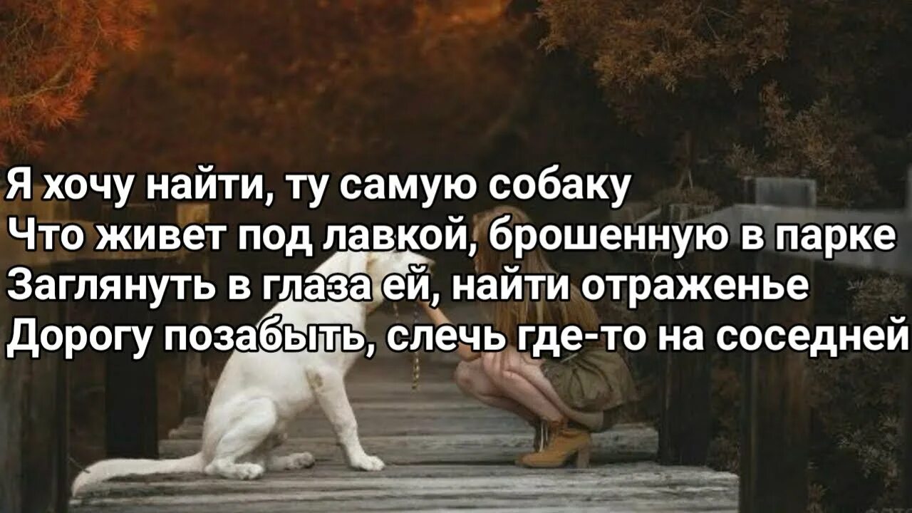 Песня моя собака где то дороже тебя. Я хочу найти ту самую собаку текст. Слова к песни собака КАНГИ. Я хочу собаку текст. Слова хочу собаку.