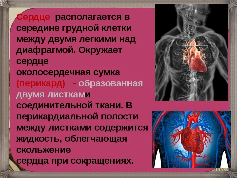 Почему может болеть грудная. Боли в сердце причины. Сердце болит и тяжело дышать причины. Давит в грудине в области сердца что это.