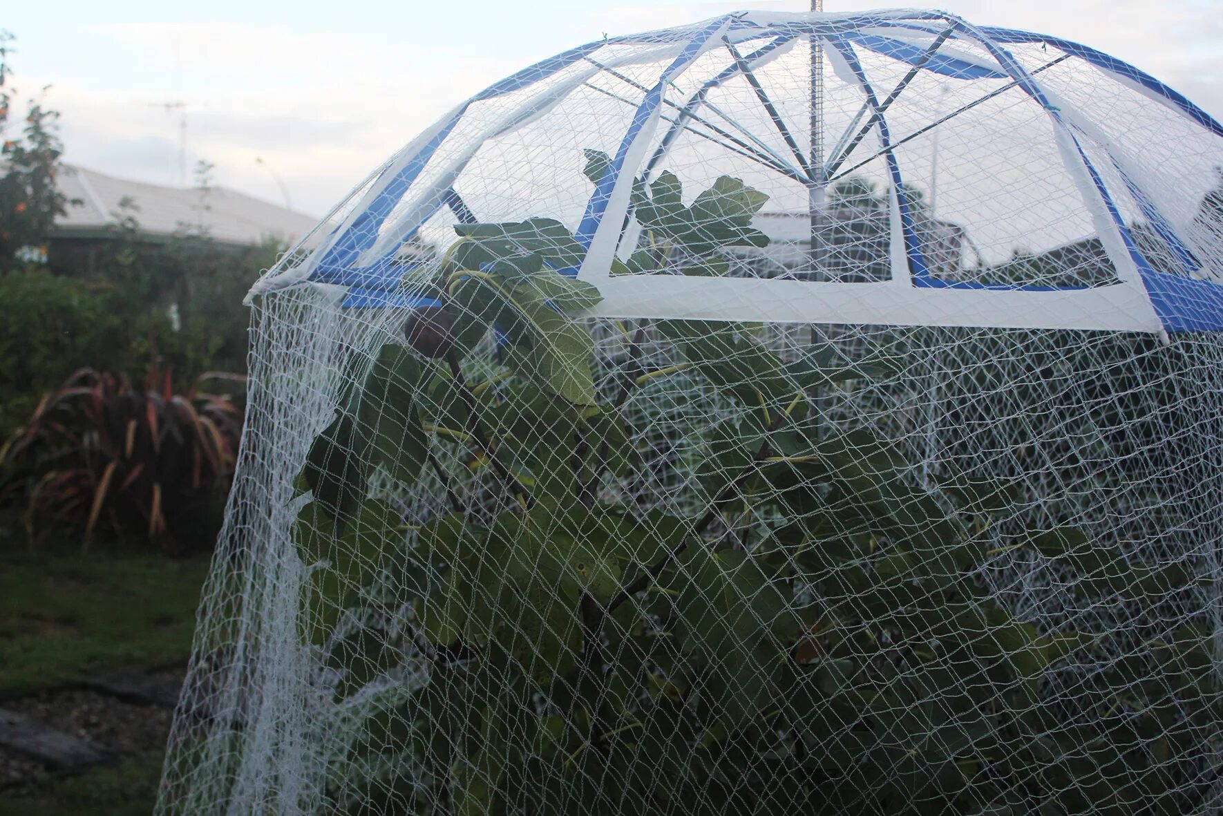 Помощи сетки. Сломались крепления москитной сетки. Садовая сетка шпалерная. Просечно-вытяжная сетка tsh2005/1. Сетка от птиц для деревьев.