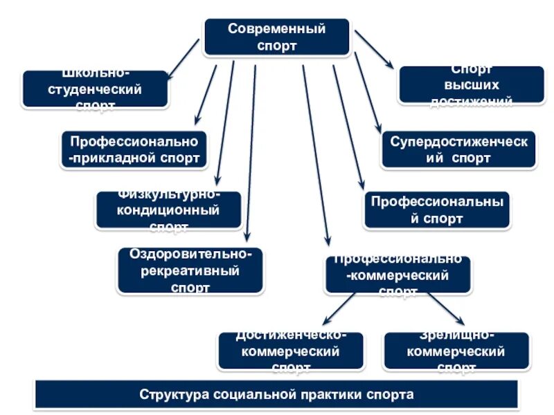 Какие функции спорта. Профессиональный спорт структура. Основные виды современного спорта. Структура современного спорта. Структура профессионального спорта в России.