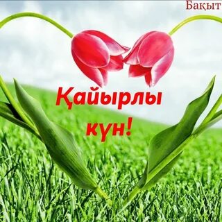 Кариб теңізі порно