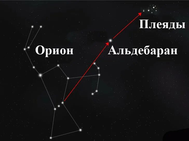 Созвездие альдебаран находится в созвездии. Плеяды Созвездие на Звездном небе. Созвездие Ориона и Плеяды. Плеяды, Гиады Орион Медведица. Созвездие Ориона и Плеяды на карте звездного неба.