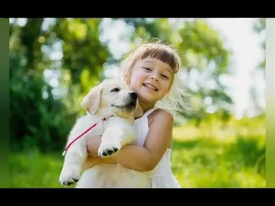 Ютубе песню добро