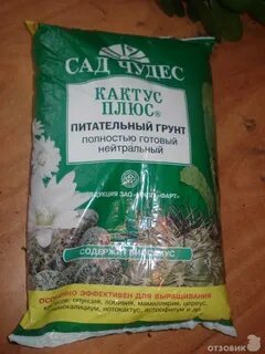 Денежное дерево какая почва