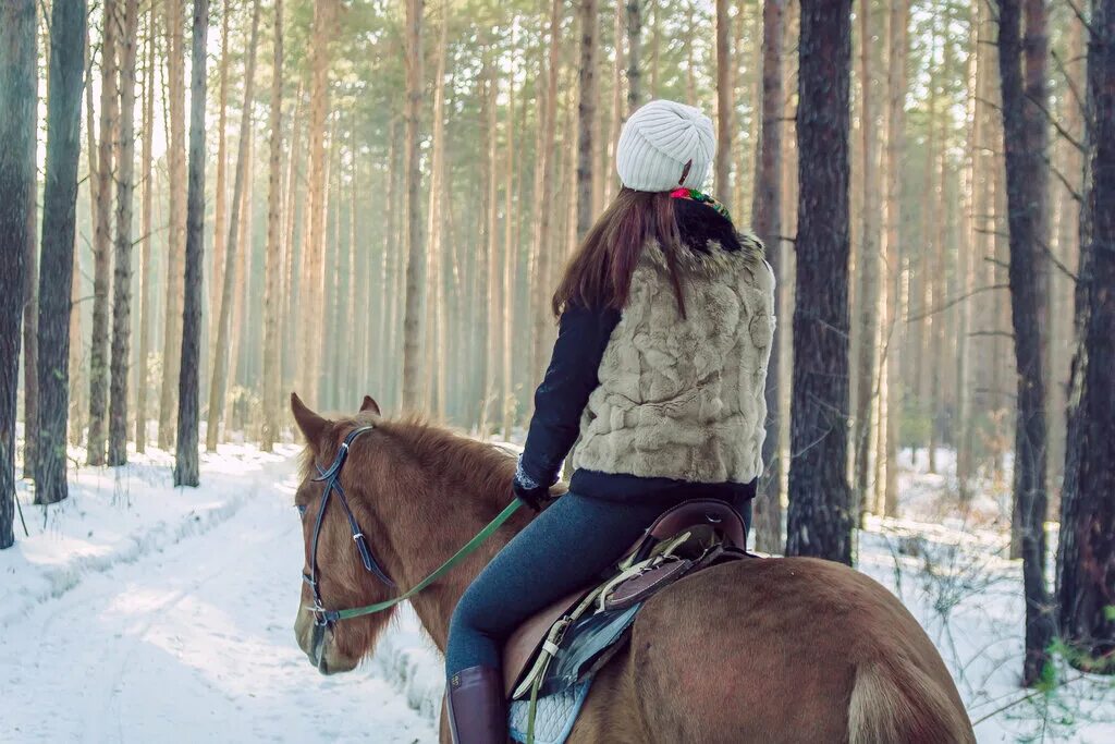 Казаки на белое лошади. Конный клуб есаул. Кск есаул воронеж конюшня. Кск есаул воронеж конюшня. Кск есаул.