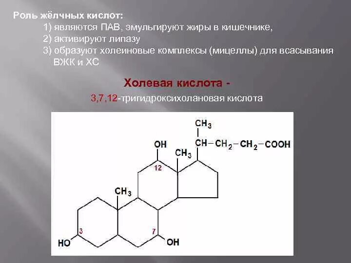 Желчные кислоты строение