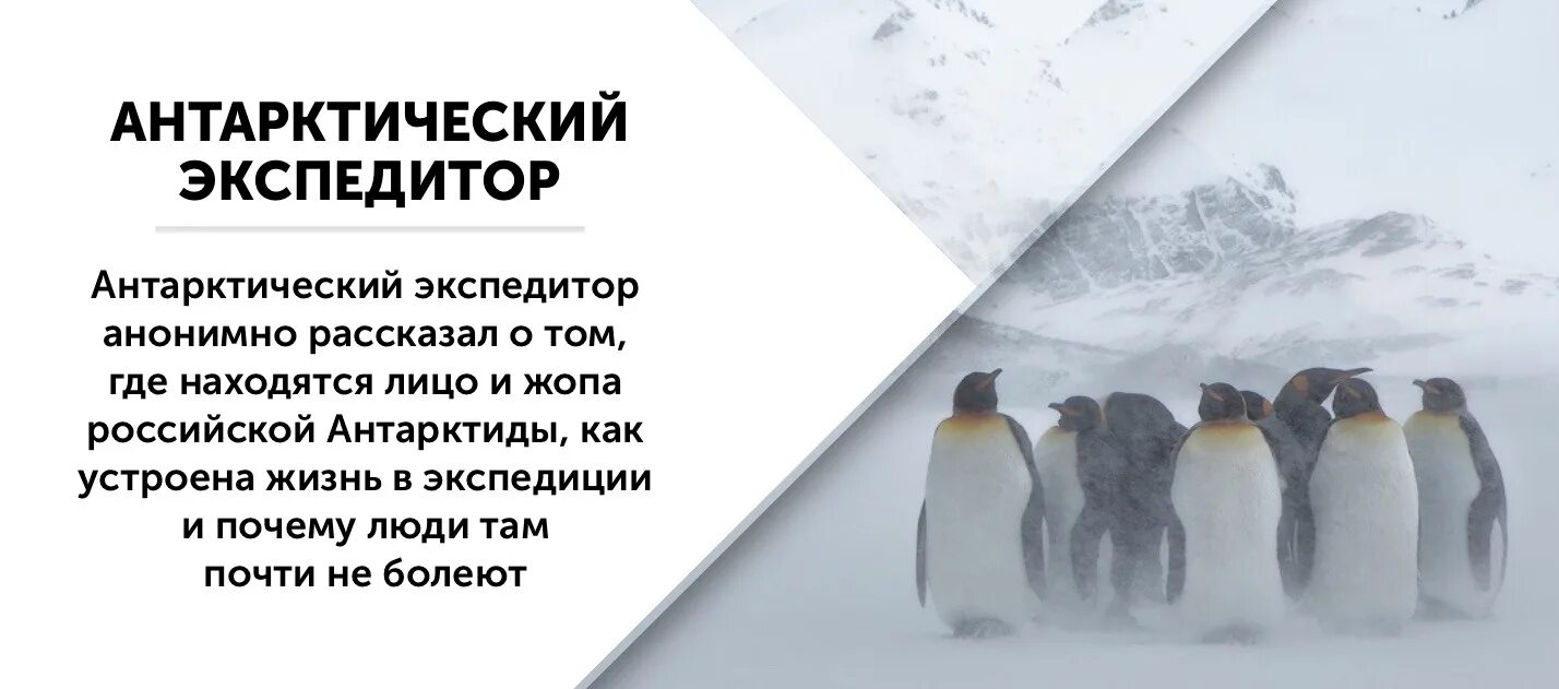 Стихи об Антарктиде русских поэтов. Как стать экспедитором в Антарктиде. Антарктический Крылья в Исламе.