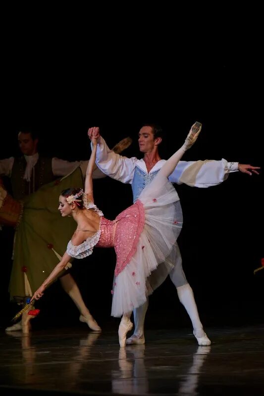 балет лебединое озеро. артист балета. константин героник балет. дмитрий фишер балет эйфмана. игорь оношко балет.