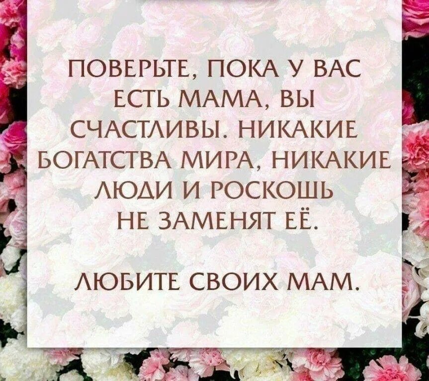 Цитаты про сорок лет женщины. Афоризмы про маму. Мама он такой хороший. Мама это человек который. Анекдот про воспитателя детского сада.