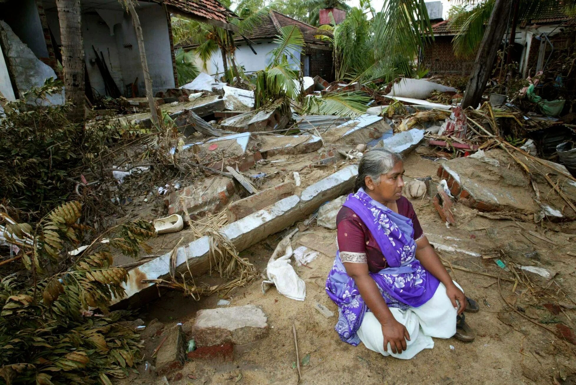 Землетрясение в тайланде 2004. ЦУНАМИ В Тайланде 2004 жертвы.