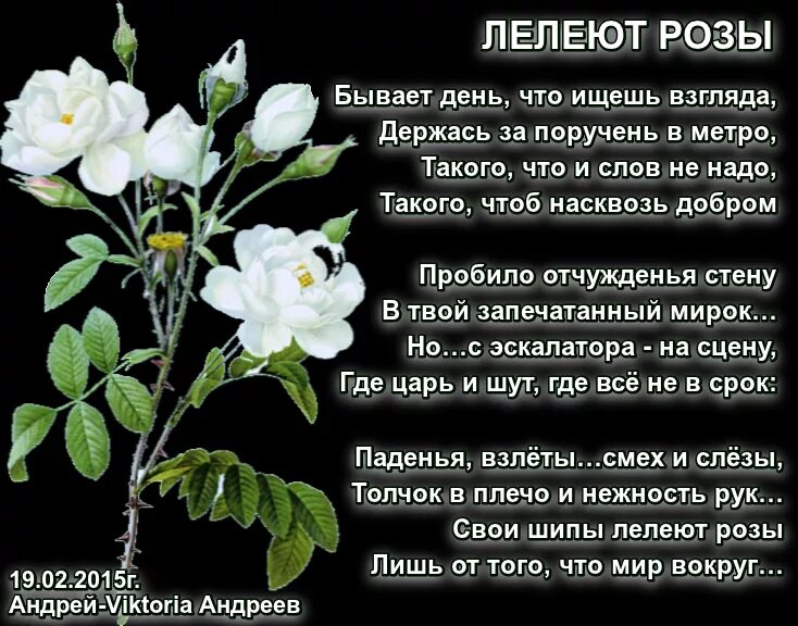 Розочка слова. Стихотворение про розу. Красивые стихи о цветах розах. Стихи про розы и женщин. Стихотворение про белые розы.