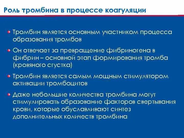 Являющийся одним из главных участников. Являющийся одним из главных участников