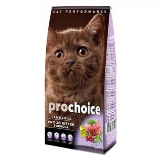 Pro choice