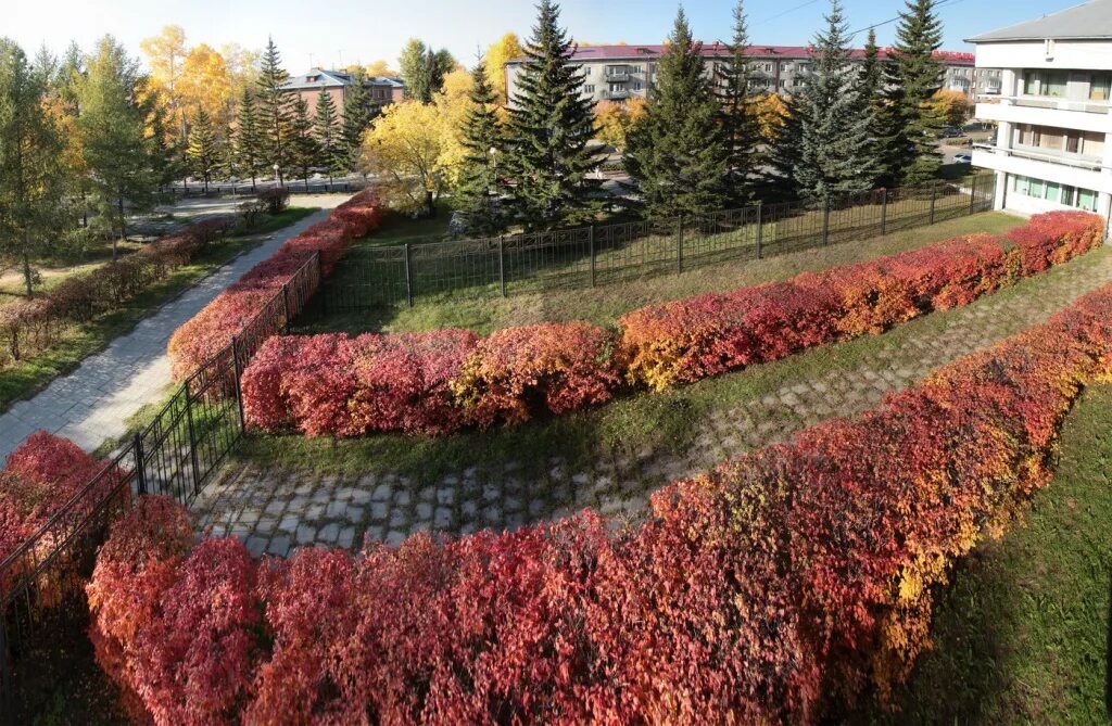 Город шелехов памятники. Сайт города шелехов. Шелехов городской сквер. Шелехов (город). Шелехов иркутская область.