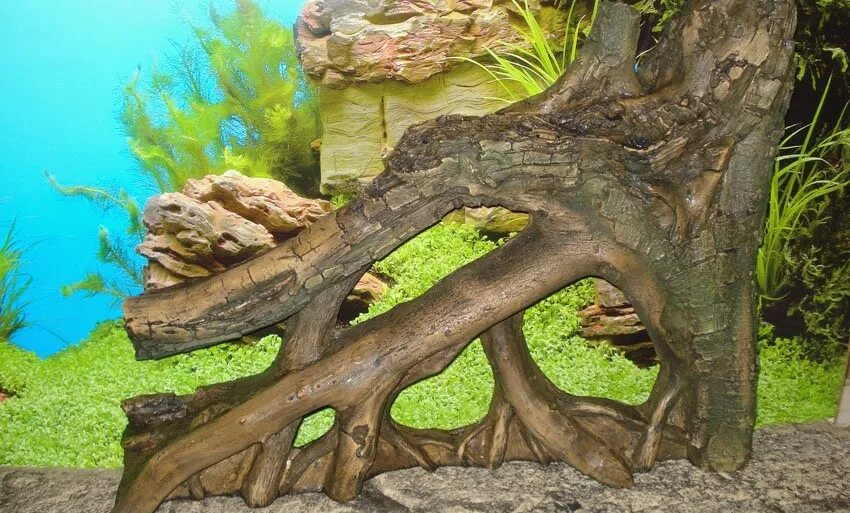 Коряга для аквариума. Оформление аквариума корягами. Дерево в аквариуме. Декор из коряг в аквариуме. Какая коряга в аквариум