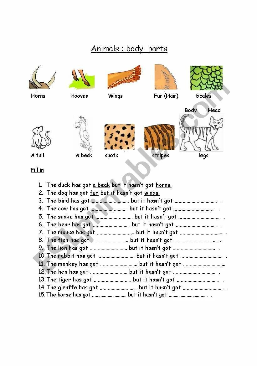 Animal body parts worksheets for kids. Spotlight 5 animal body parts. Spotlight 5 animal body parts. Animal body parts for kids. Animals body parts worksheets.