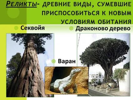 Древние виды живых организмов которые смогли приспособиться