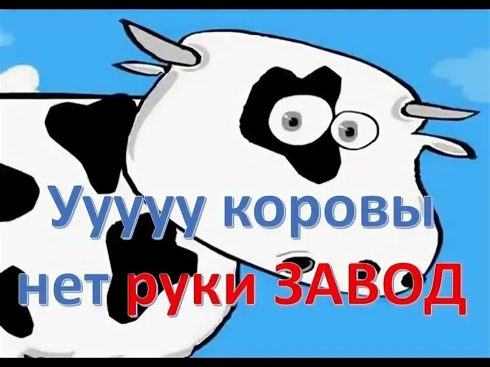 У коровы нет забот. У коровы нет других. Укровы нет други забот. У меня коровы нет других забот. Песня у коровы нет забот