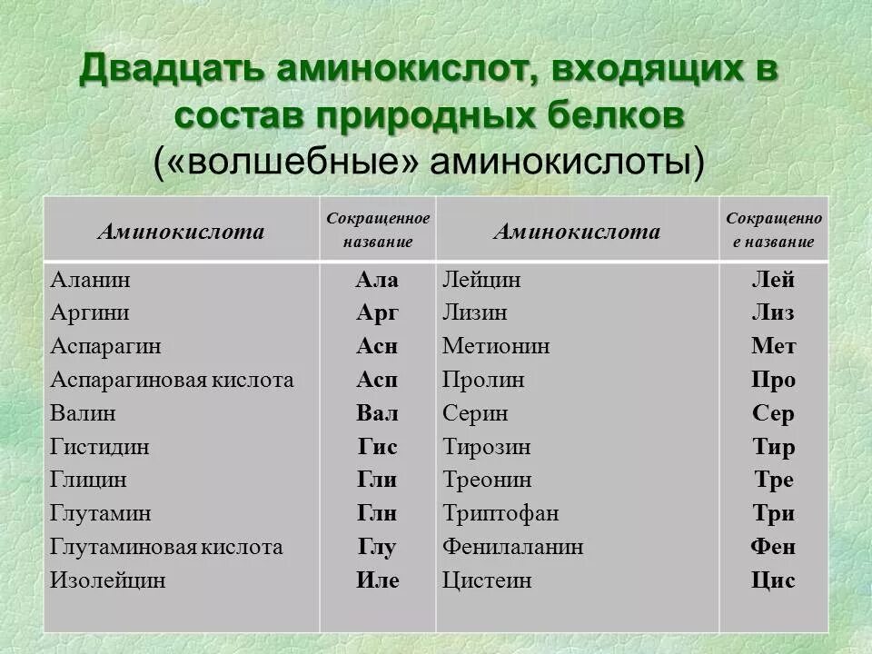 Количество белковых аминокислот. 20 Аминокислот входящие в состав белков. Аминокислоты входящие в состав белков таблица. 20 Аминокислот названия. Белковые аминокислоты таблица.