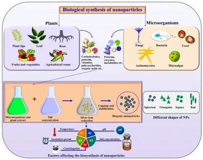 Biological environment