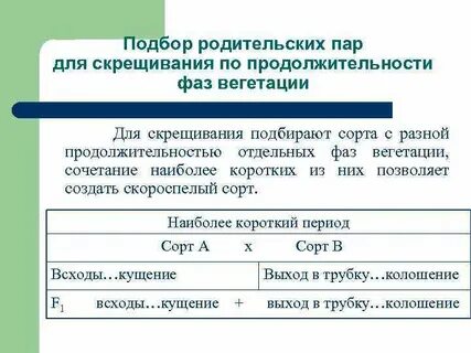 Родительский отбор