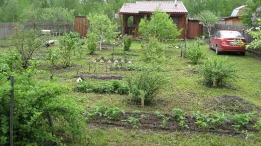 Судья марченко волгоград. Участок 115 волгоград. Деревня ситники. Трубный поселок челябинск. Борзовая заимка, ул.