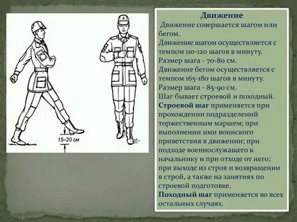 Псп строевая