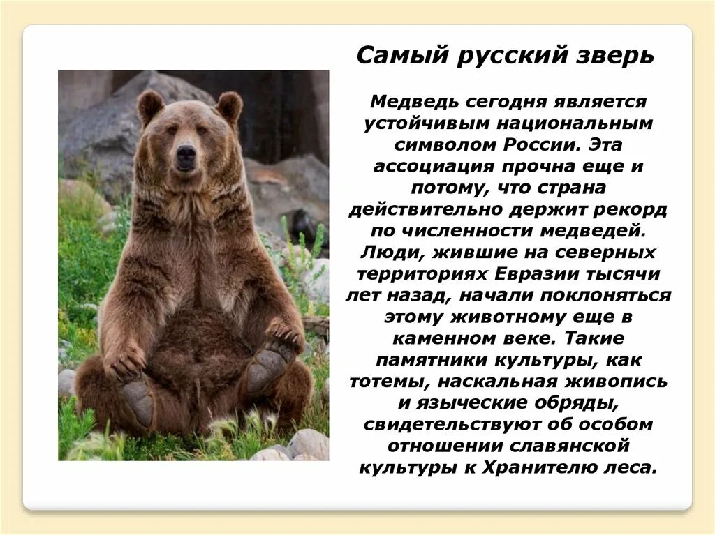 Почему медведь любит. Медведь символ России. Медведь в русской культуре. Бурый медведь символ России. Национальные символы России медведь.