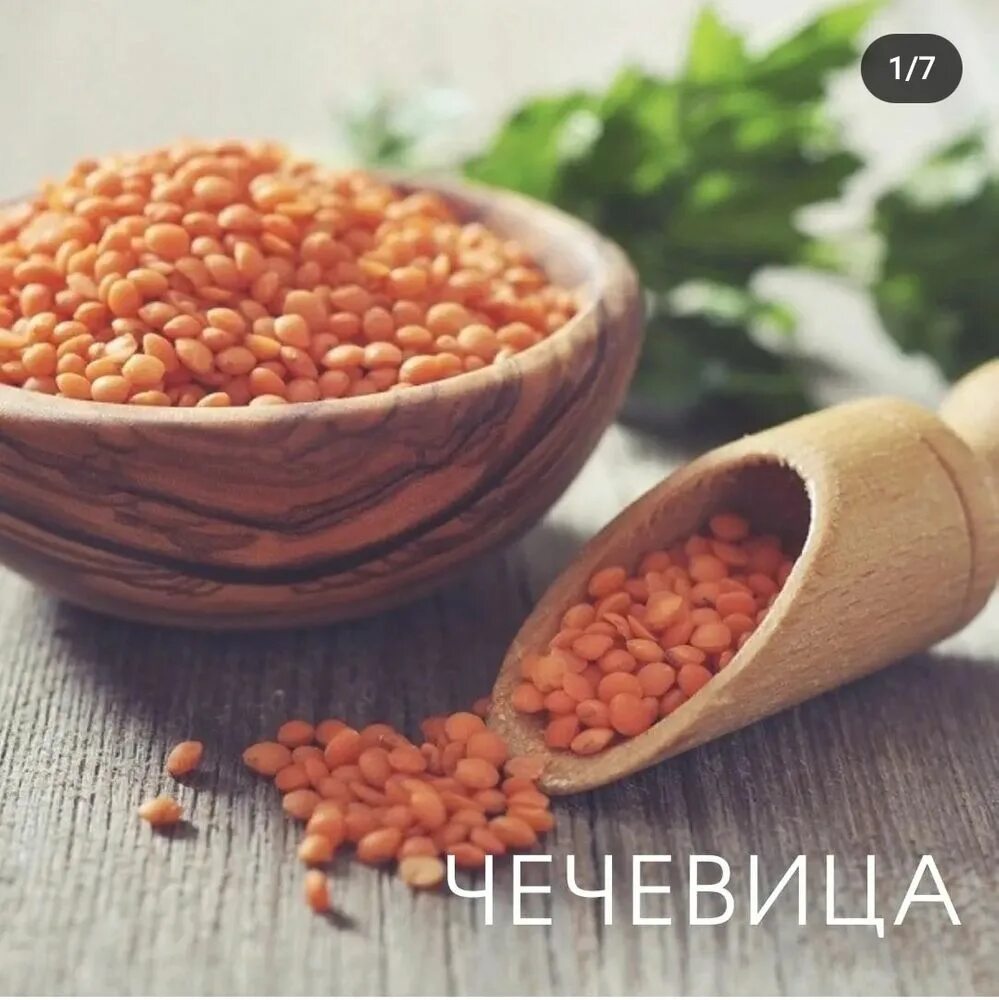 Чечевица как ее есть. Чечевица как ее есть