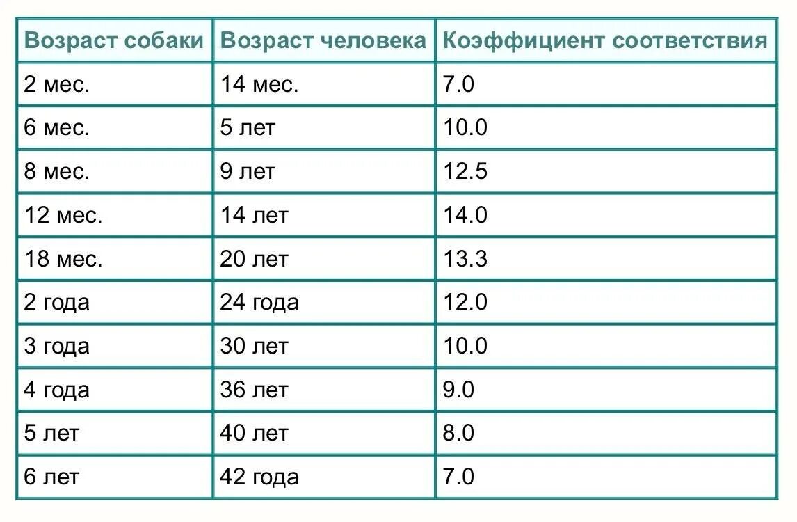 Определить какой возраст. Возраст собак таблица соотношения. Таблица возраста собак по человеческим меркам мелких пород. Таблица жизни собак на человеческий Возраст. Возраст собаки в человеческих годах таблица дворняга.