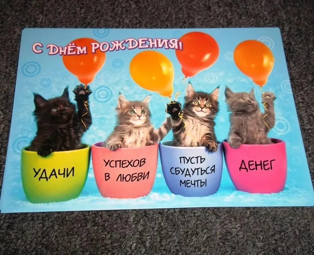 С днем рождения женщине с котом. С днем рождения коты. С днём рождения с котиками. Открытка с днём рождения с котом. С днем рождения кошечка.