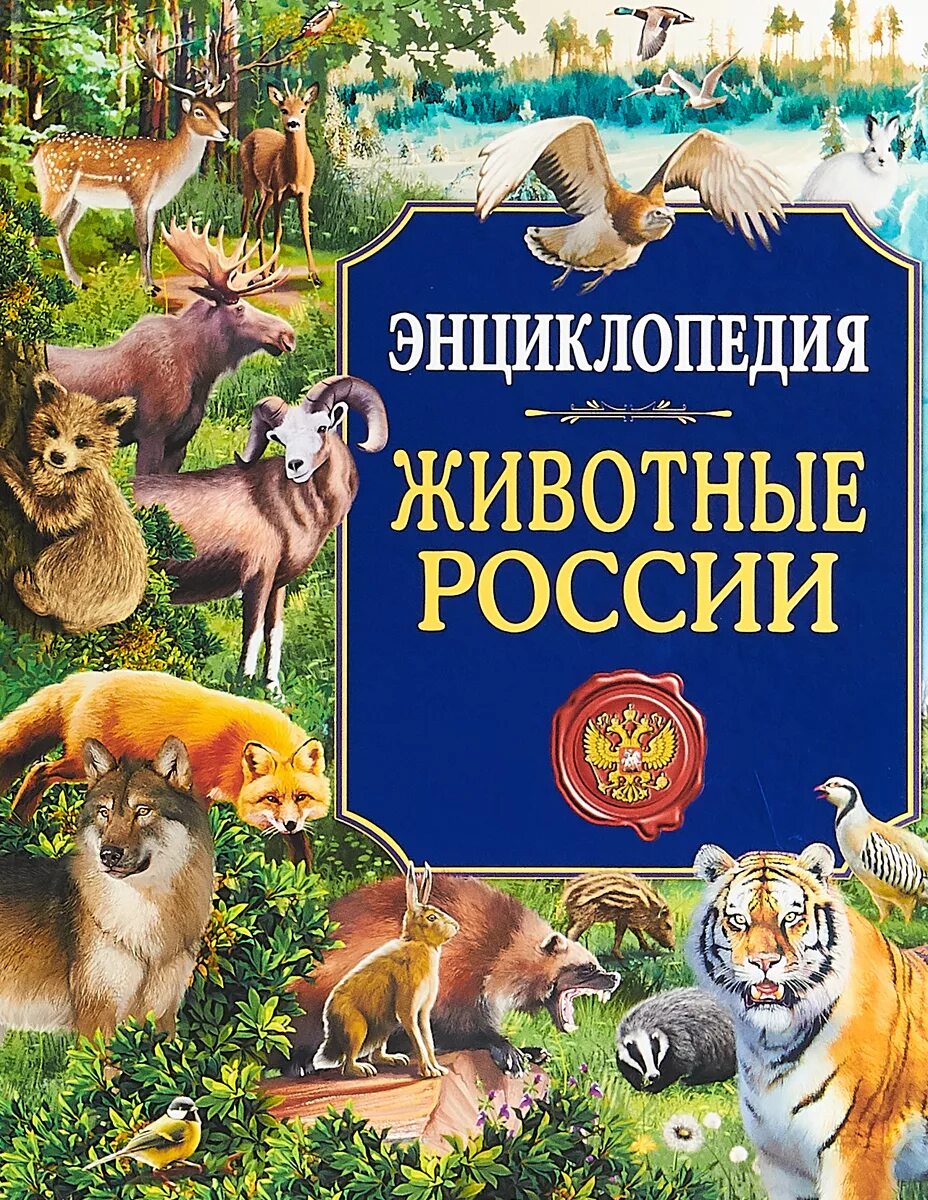 Животные и их мир книга. Животный мир россии. энциклопедия для детей. книга энциклопедия. энциклопедия. животные россии. энциклопедия животных для детей.