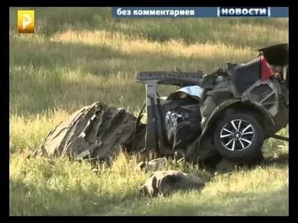 Тв волк происшествия