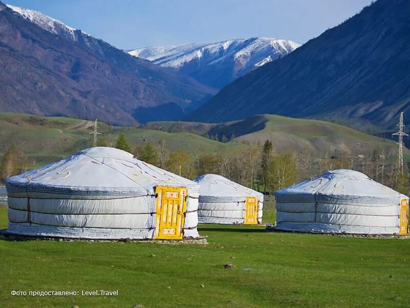 Жилище алтайцев юрта. Восьмистенная юрта. Юрта кочевника алтай. Войлочная юрта алтайцев. Традиционное жилище алтайцев.