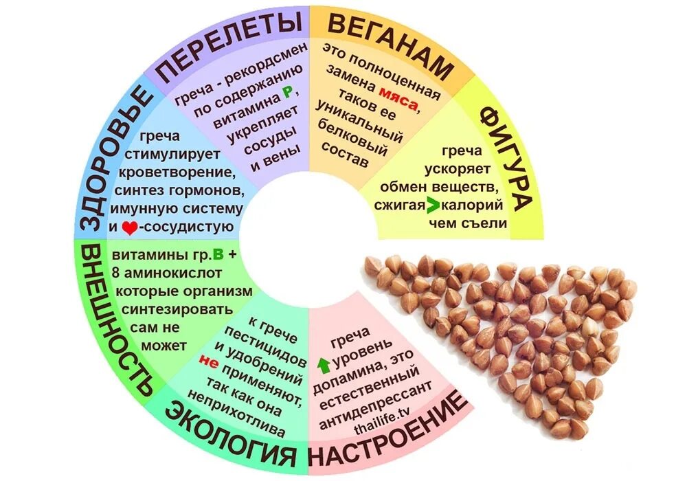 Чем вредна гречка для организма