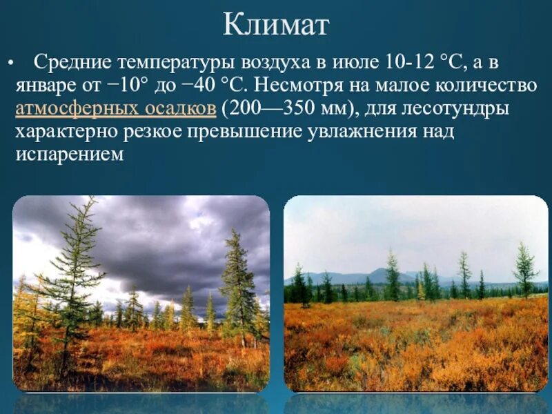 Особенности климата природной зоны тундры. Тундра и лесотундра климат. Лесотундра климатический пояс. Климат лесотундры 8 класс. Тундра и лесотундра Евразии.