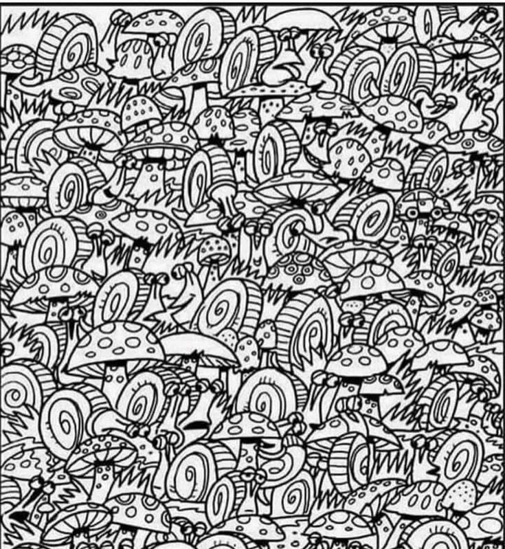 Find to image