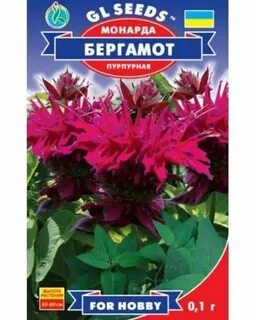 Семена бергамота