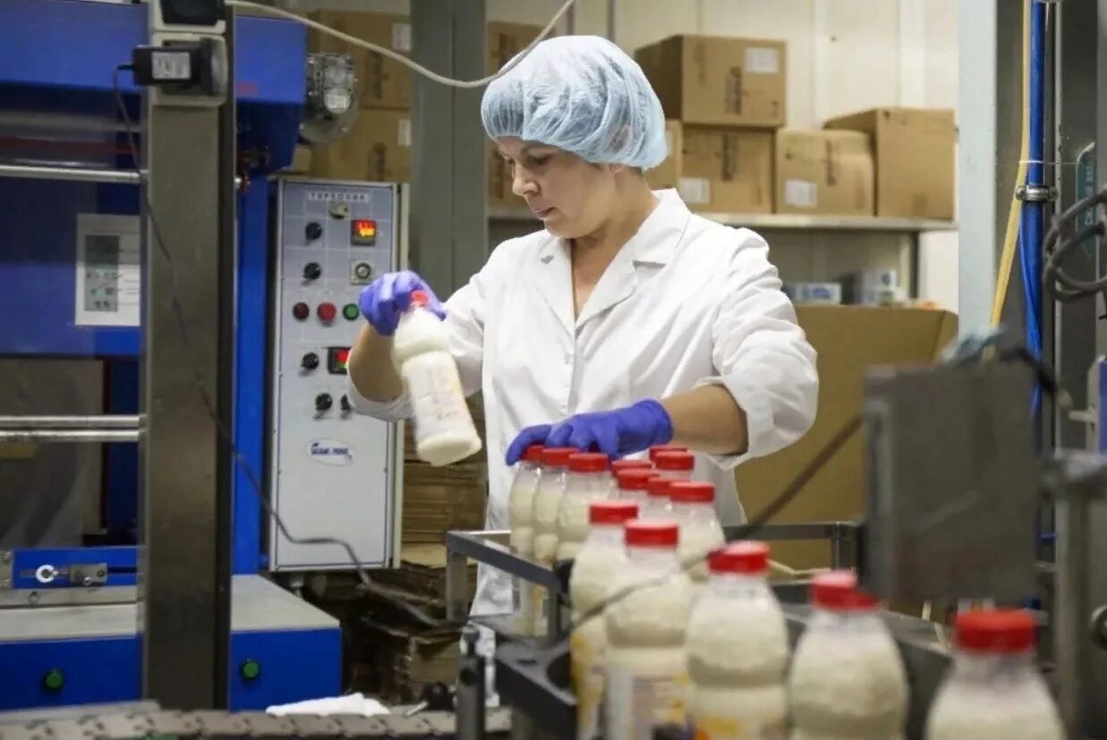 пищевое производство. предприятия малого бизнеса. пищевое производство. завод пищевой промышленности. пищевая и перерабатывающая промышленность.