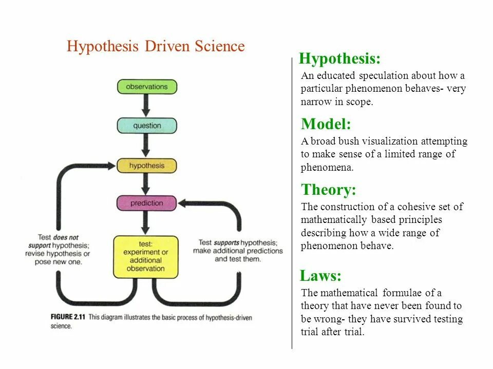 Testing description. Hypothesis and hypothesis Testing process. Hypothesis Driven подход. Bioprogram hypothesis теория. Hypothesis diagram.