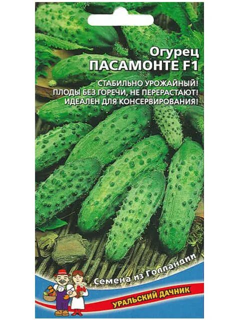 Пасамонте огурцы отзывы. Огурец пасамонте f1 syngenta / садовита. Огурец пасамонте. Огурцы партнер. Пасамонте огурец фото.