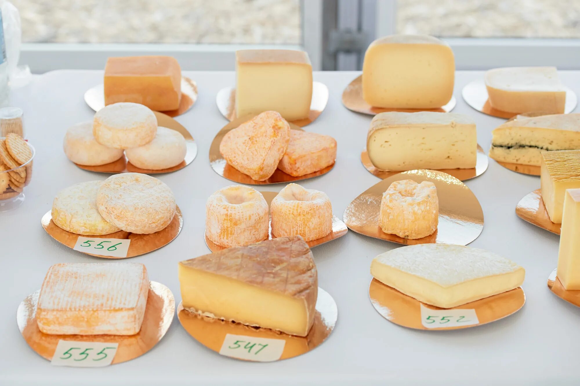 Какой сыр самый лучший. Лучший сыр россии. популярные сыры в россии. cotton cheese in russia.