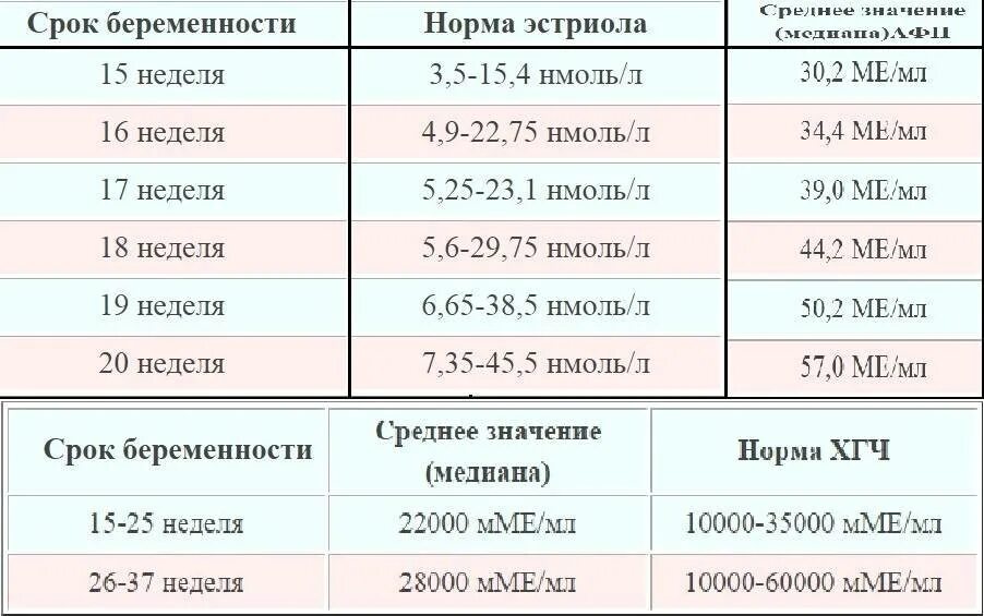 Сердцебиение 14 недель. Показатели при скрининге 2 триместра беременности. ХГЧ скрининг норма. УЗИ второй скрининг при беременности нормы. Норма показателей при 2 скрининге при беременности.