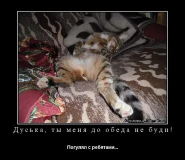 Даже не обедаешь