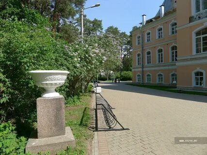 Санатории г сестрорецка
