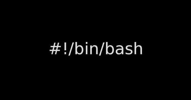 Bash 9. Bash 9
