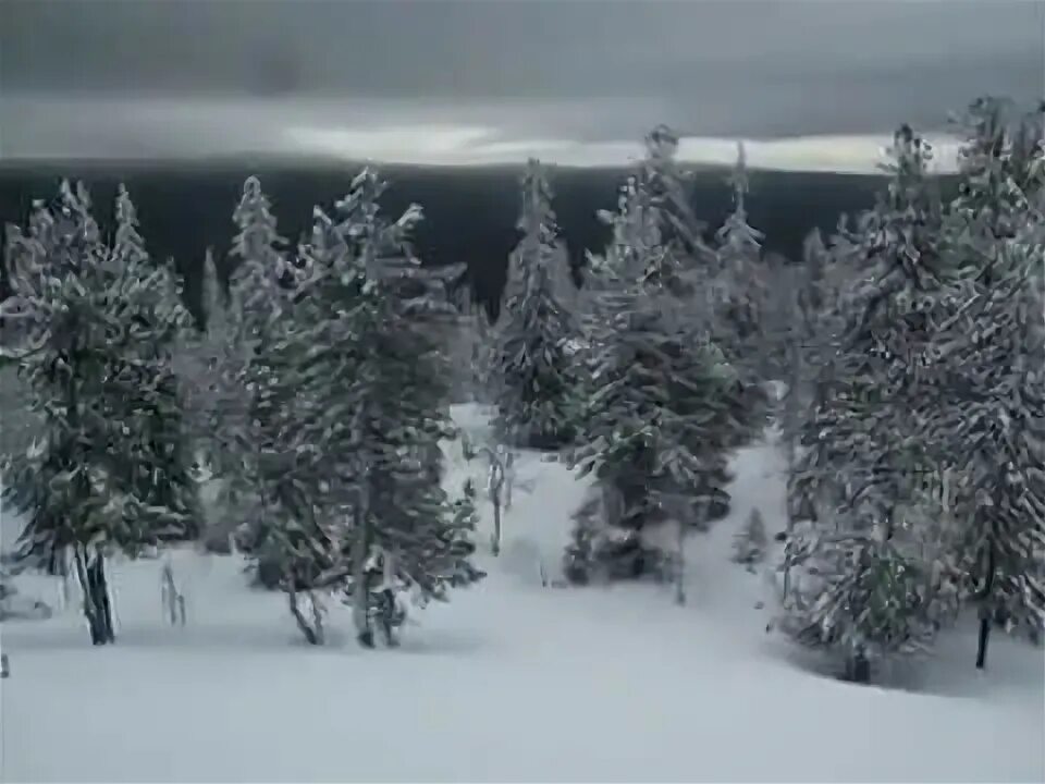 Снег кружится. Первым снегом укрывает. Стихи про падающий снег. Падал пушистый снег слушать. Падал пушистый снег слушать.