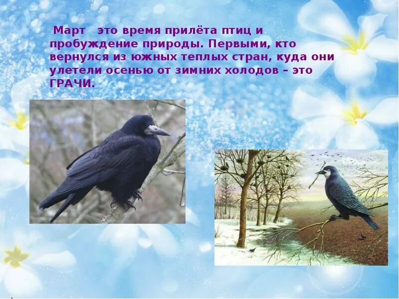 Приметы весны для 2 класса окружающий. Приметы весны. первые приметы весны. приметы весны картинки для детей.